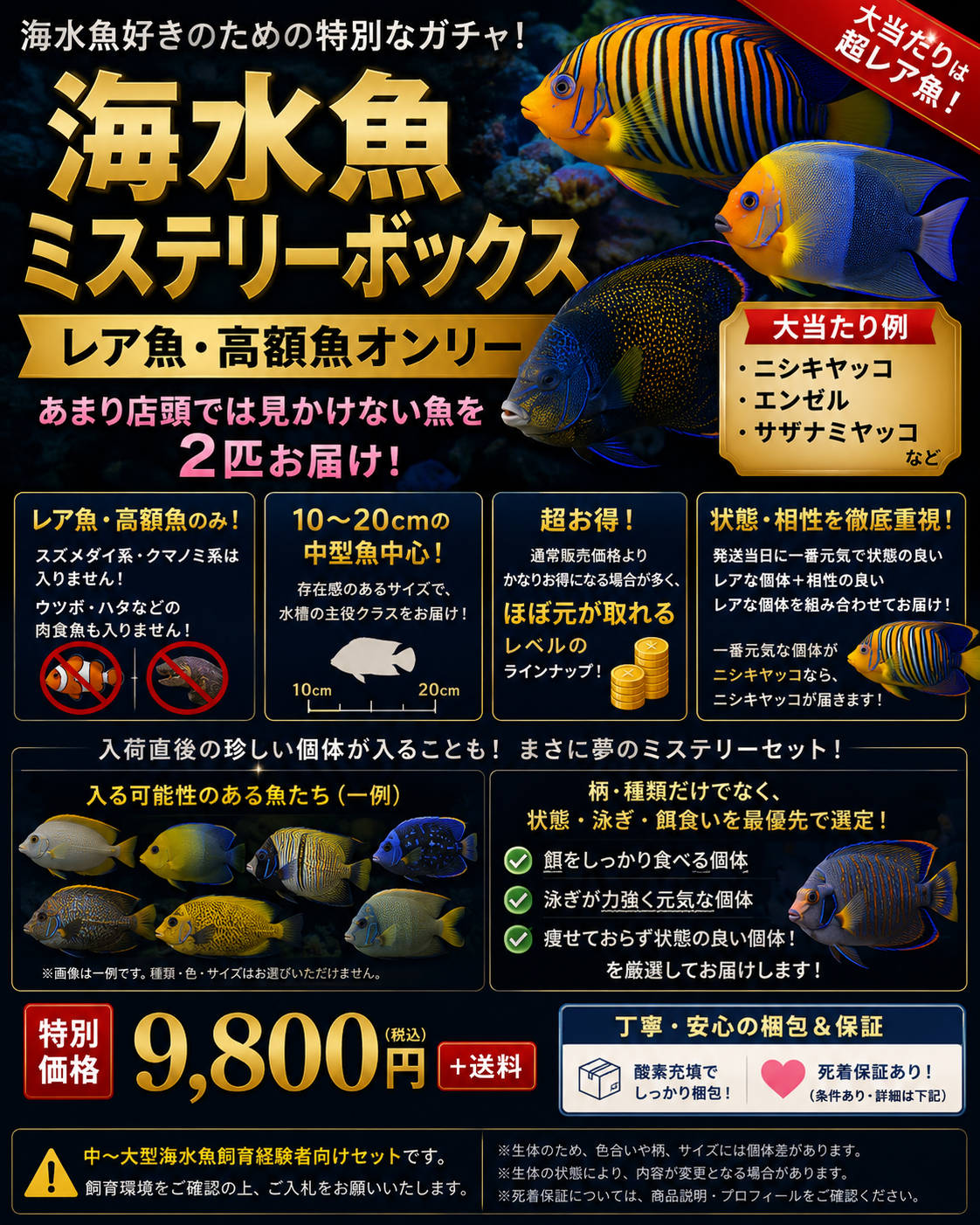海水魚ミステリーボックス