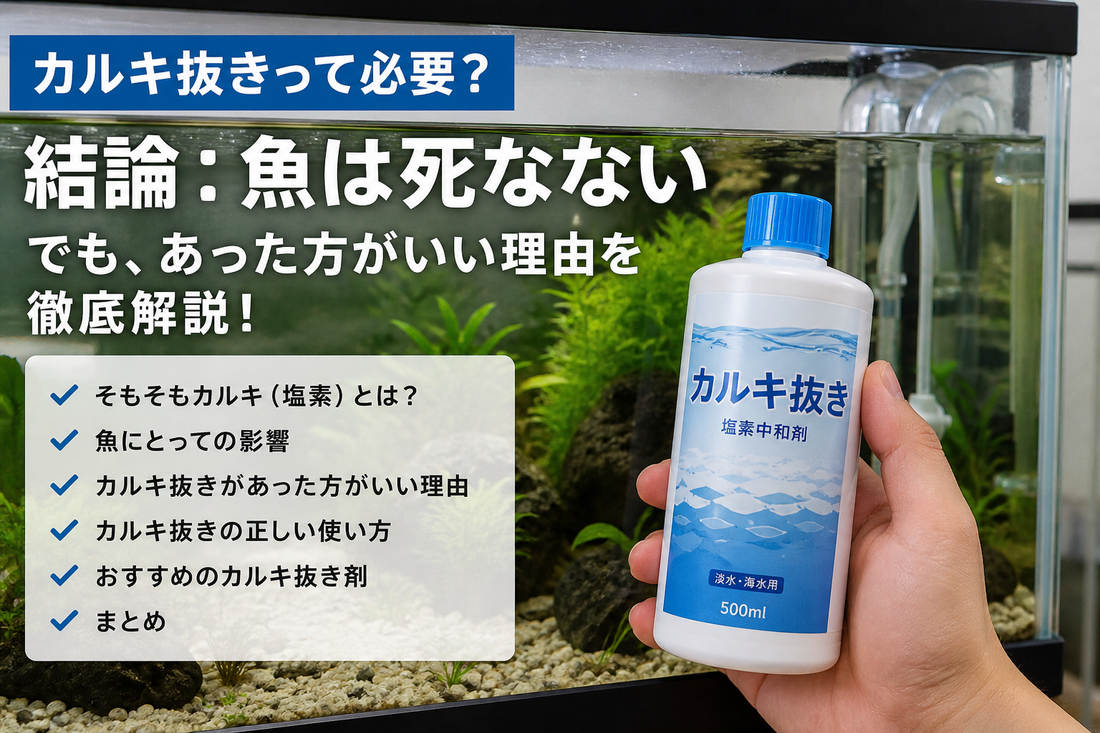 カルキ抜きって必要？魚は死ぬ？結論と理由を徹底解説