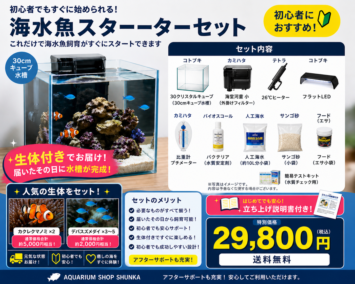海水魚スターターセット（生体付き）
