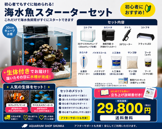 海水魚スターターセット（生体付き）