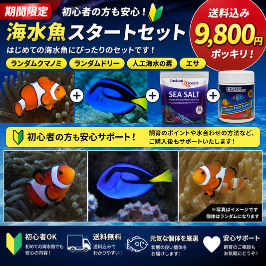 ニモ&ドリー　スターターセット