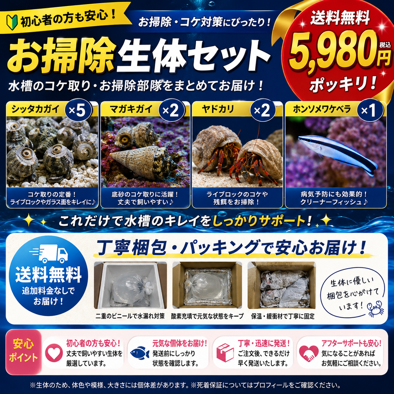 お掃除生体セット【送料無料 ¥5,980】