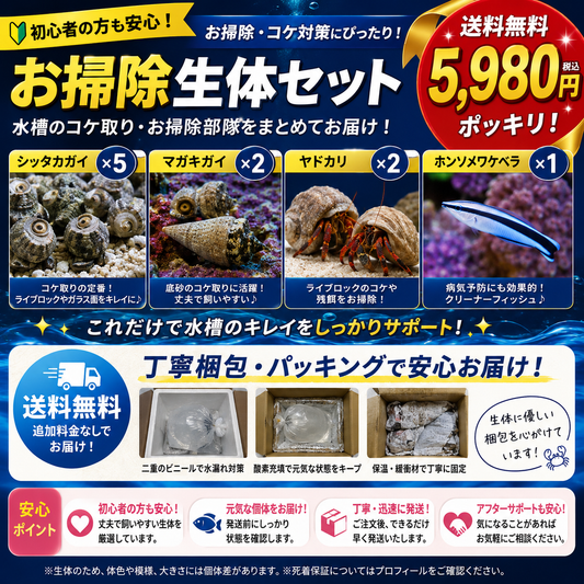 お掃除生体セット【送料無料 ¥5,980】