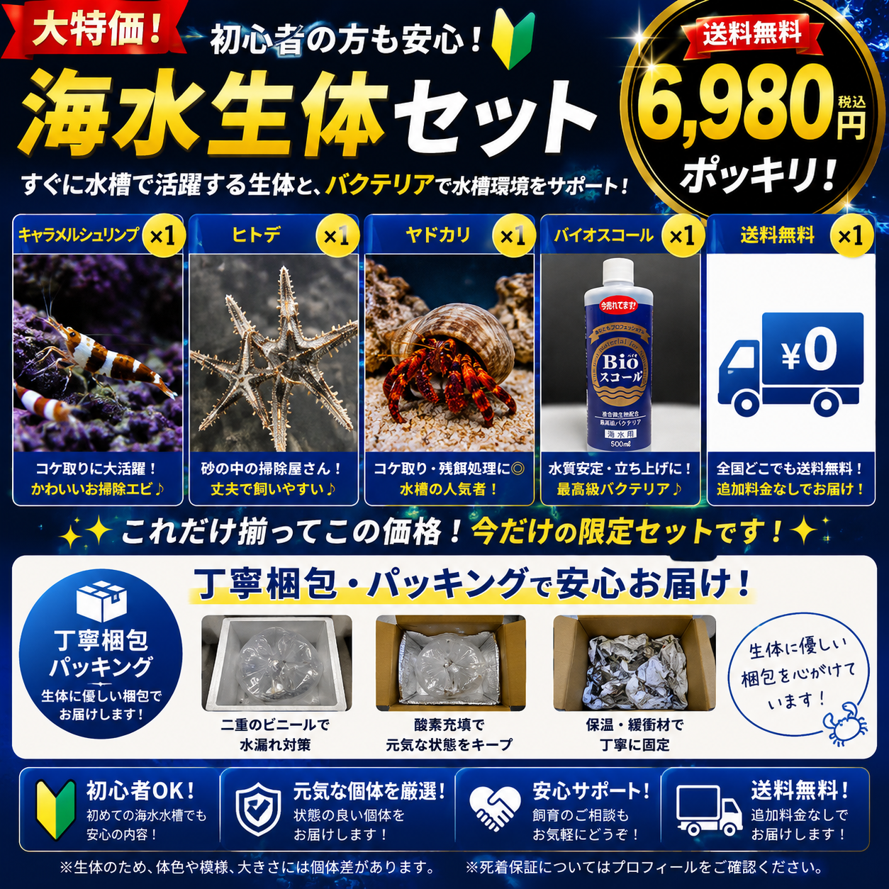 海水生体セット【送料無料 ¥6,980】